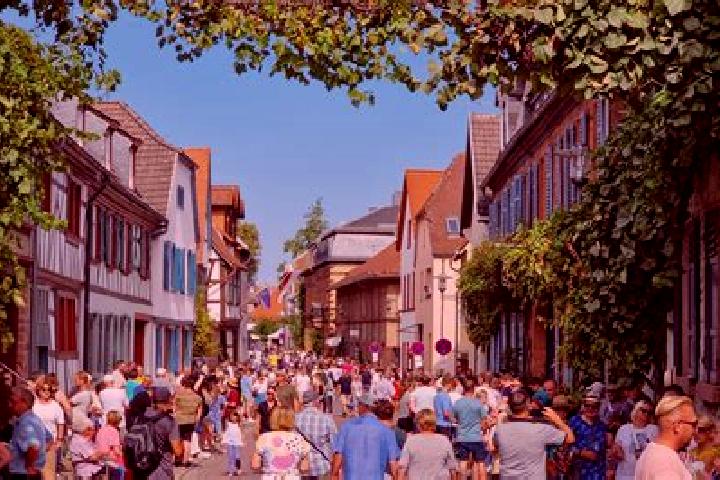 escort Gross-Umstadt