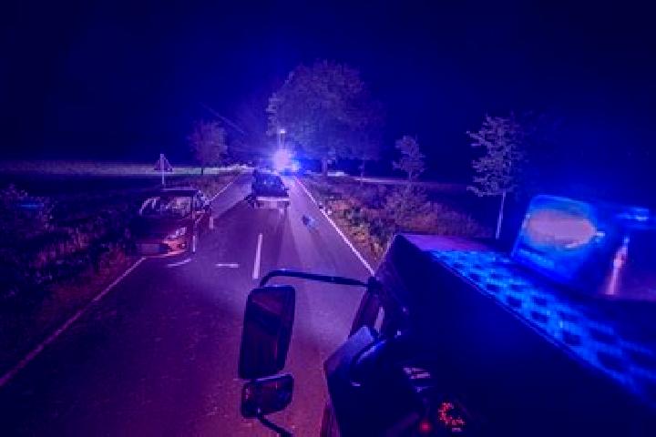 escort Grossrudestedt