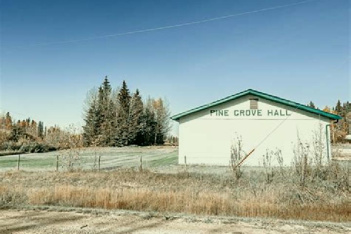 escort Grove Hall