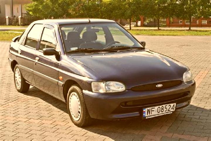 escort Gryfice