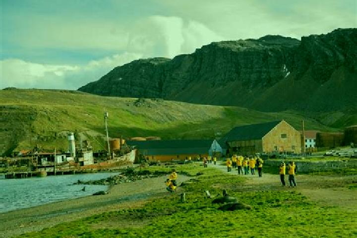 escort Grytviken
