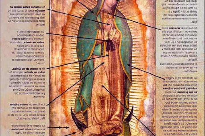 escort Guadalupe Cote