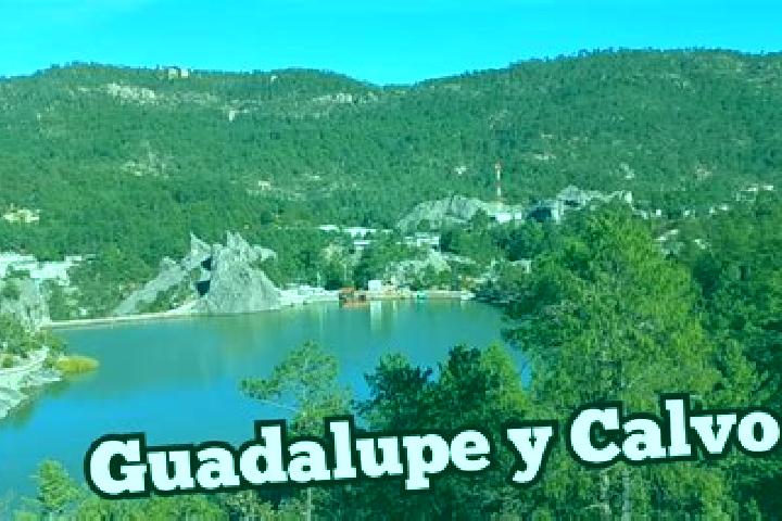 escort Guadalupe y Calvo