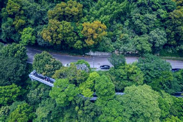 escort Guanyinshan