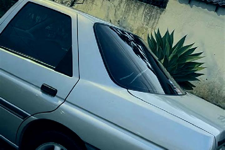 escort Guaratuba
