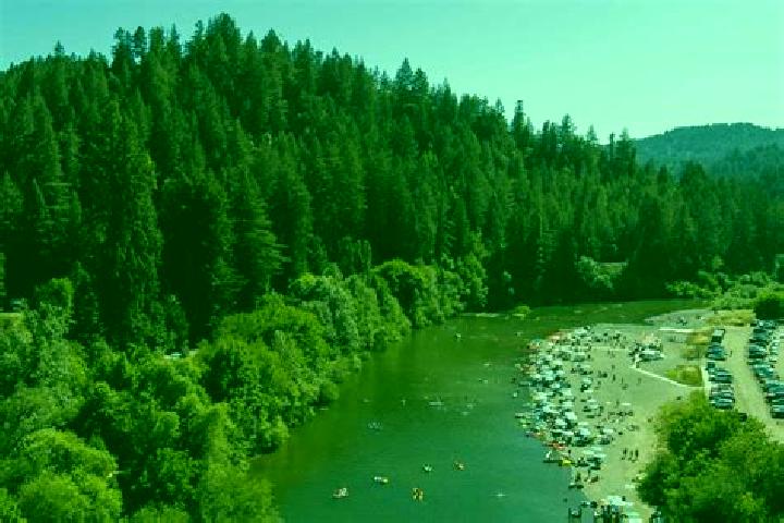 escort Guerneville