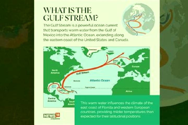 escort Gulf Stream