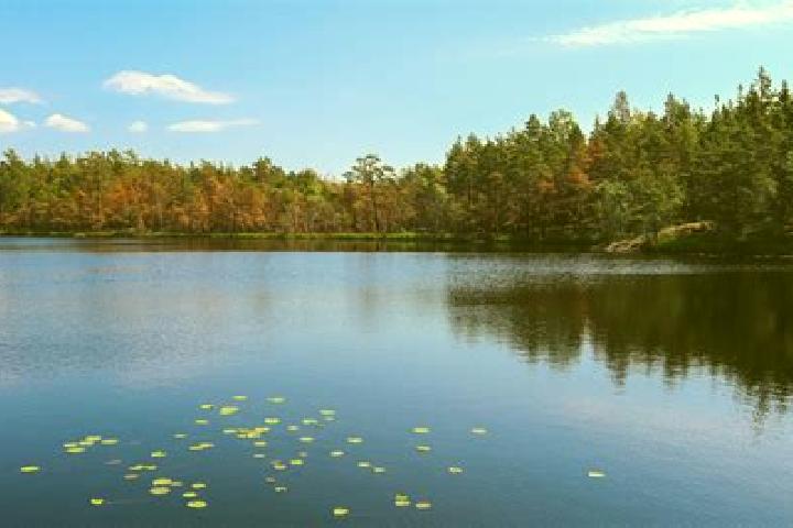 escort Gull Lake