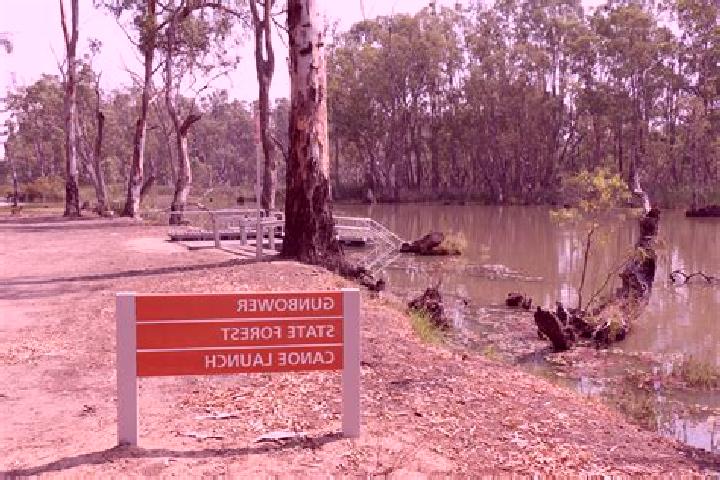 escort Gunbower