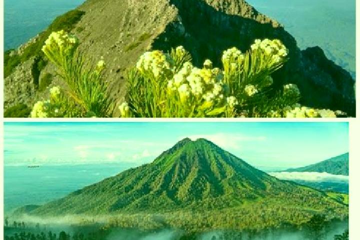 escort Gunung Timur