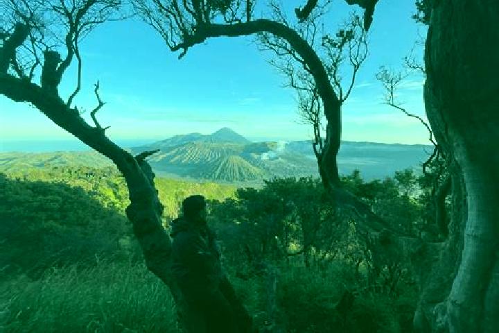 escort Gunungmalang Satu