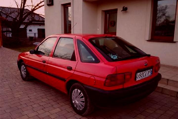 escort Gusinje