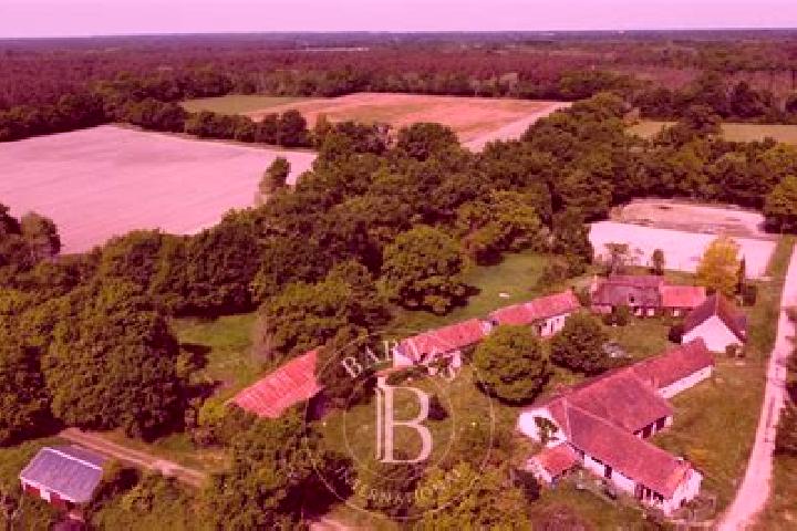 escort Gy-en-Sologne