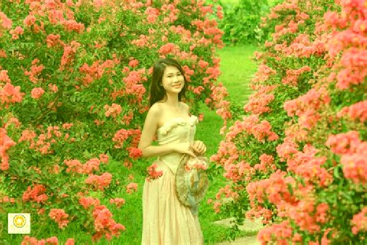 escort Ha Hoa