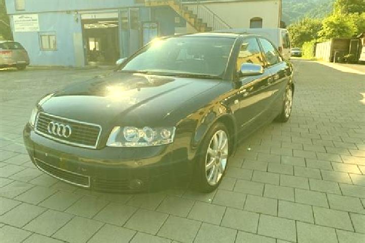escort Haag (Rheintal)