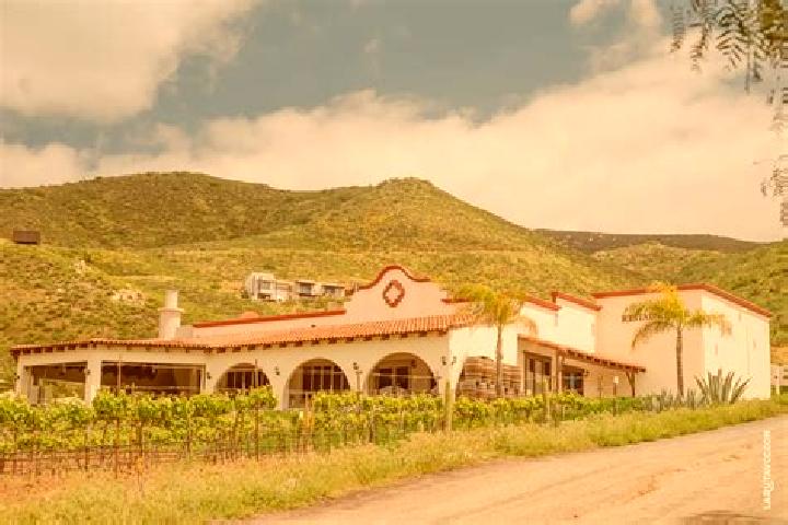 escort Hacienda Guadalupe