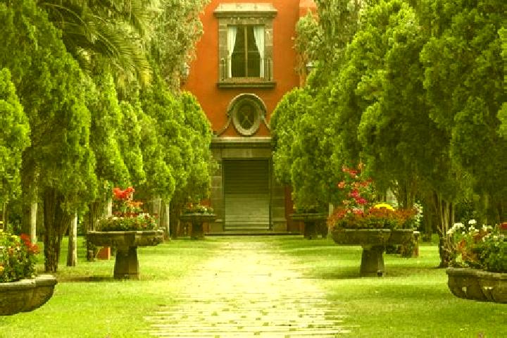 escort Hacienda Nueva (San Pedro el Aguila)