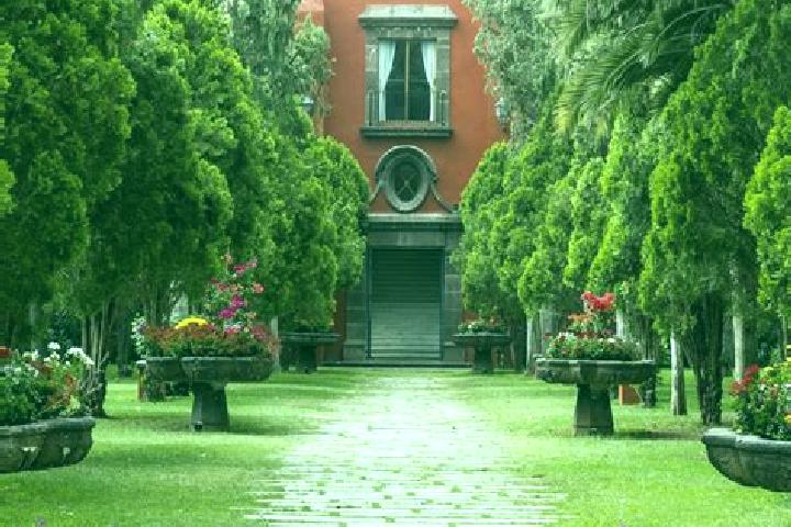 escort Hacienda San Pedro