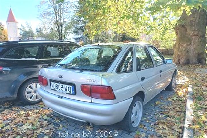 escort Hadlikon