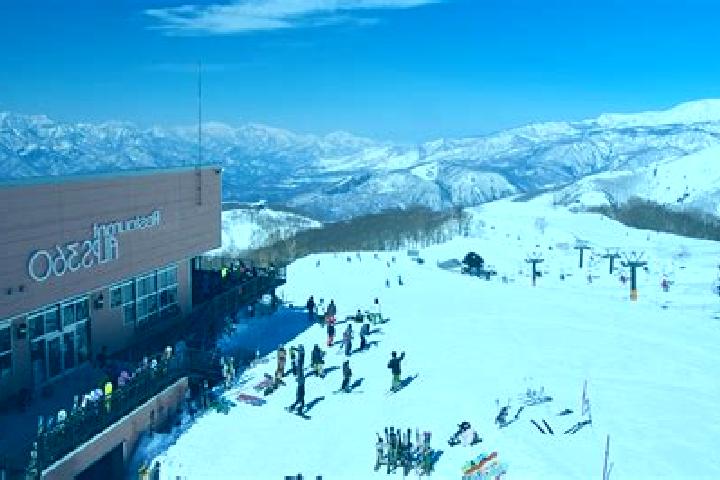 escort Hakuba