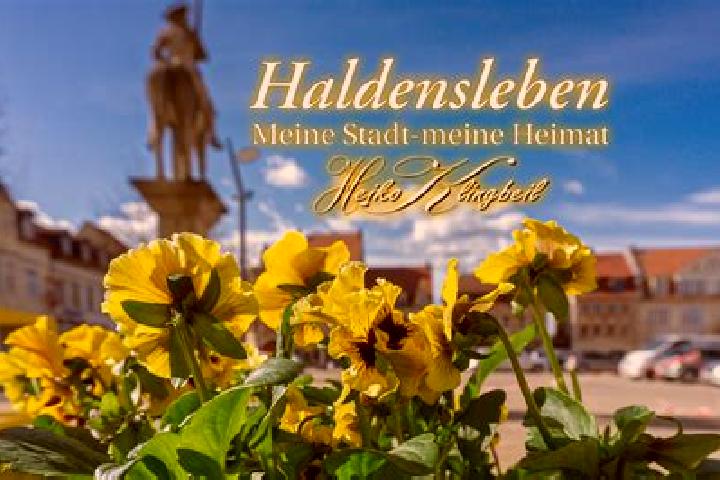 escort Haldensleben I