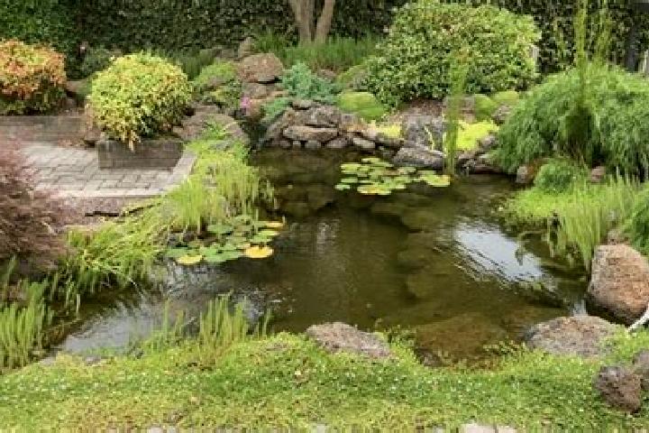 escort Half Way Pond