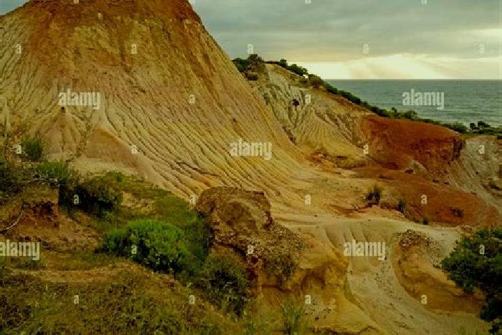 escort Hallett Cove