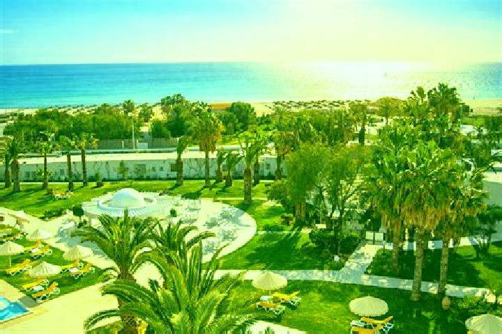 escort Hammamet