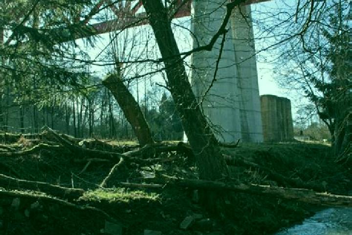 escort Hammerbruecke