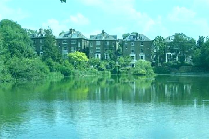 escort Hampstead Gardens
