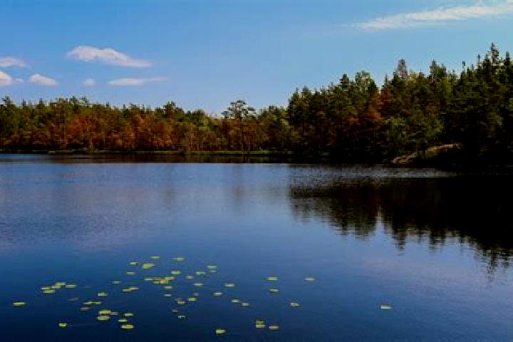 escort Harveys Lake