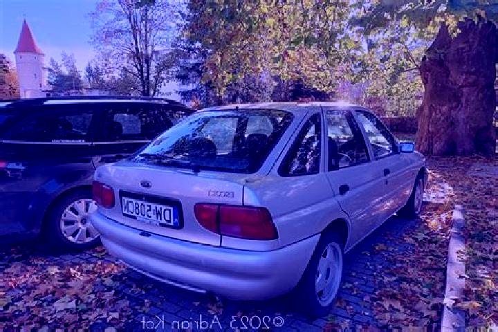 escort Haselund