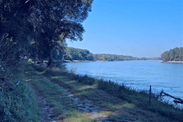 escort Haslau an der Donau
