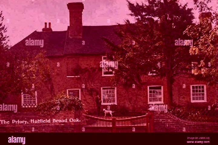 escort Hatfield Broad Oak