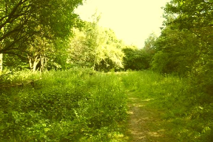 escort Hatfield Heath