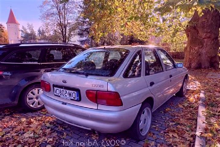 escort Hattgenstein
