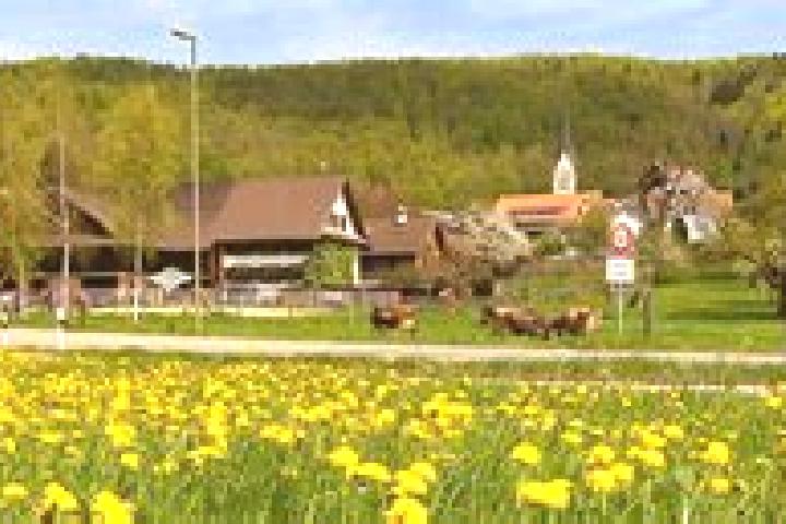 escort Hausen am Albis / Hausen (Dorf)