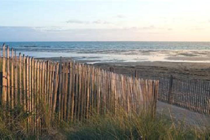 escort Hauteville-sur-Mer