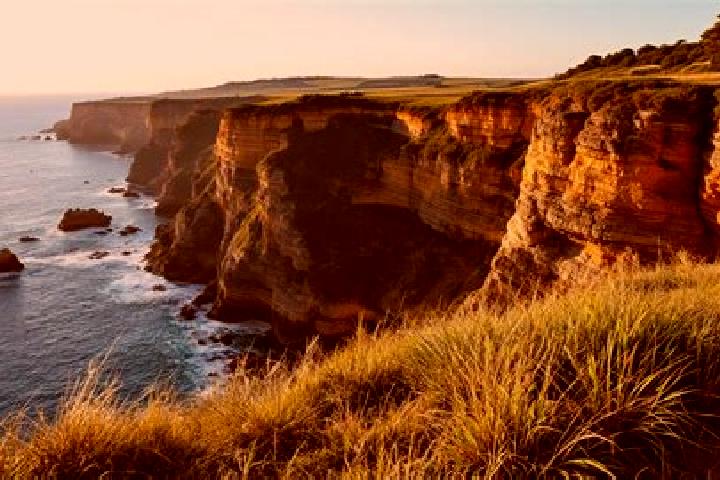 escort Headlands