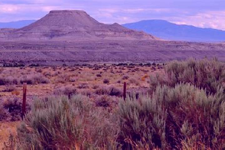 escort Heart Butte