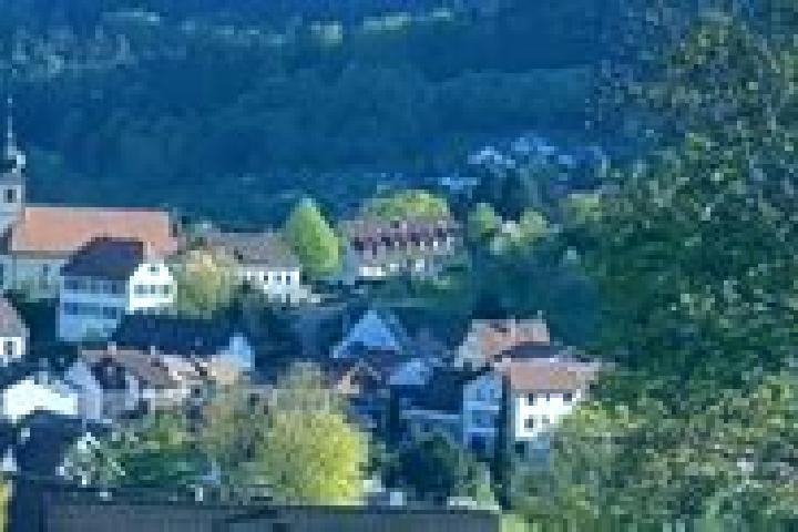 escort Heiligkreuzsteinach