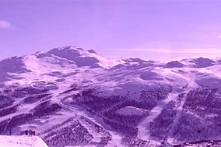 escort Hemsedal