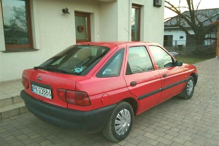 escort Heretaunga