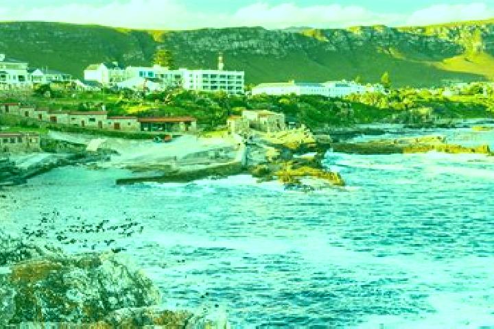 escort Hermanus