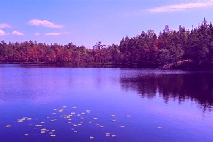 escort Heron Lake