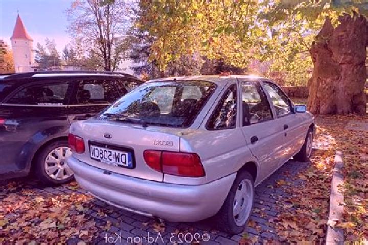 escort Herzele