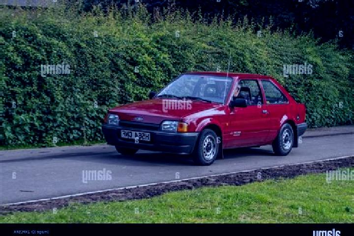 escort Hico