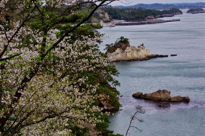 escort Higashimatsushima
