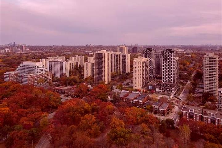 escort High Park North