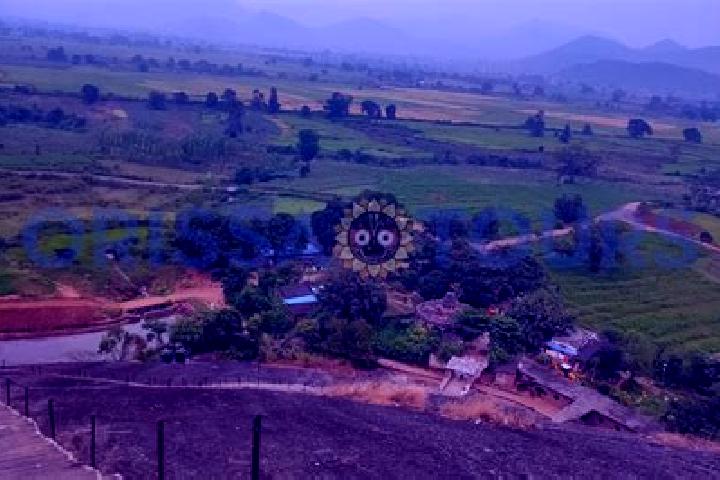 escort Hill Top